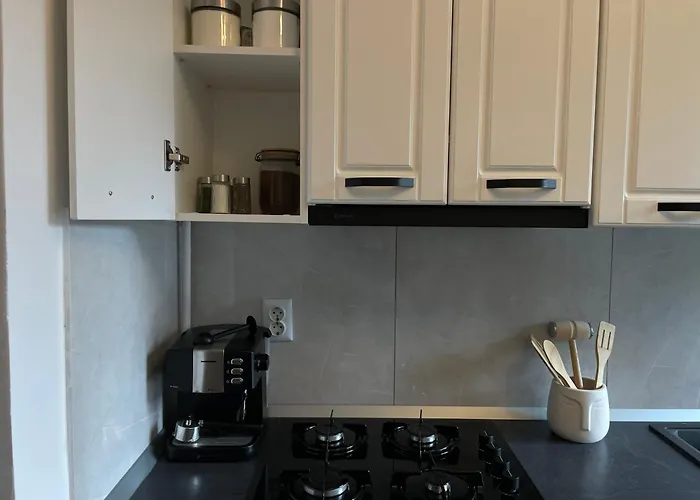 Cozy Apartment Sfanta Vineri Zalau