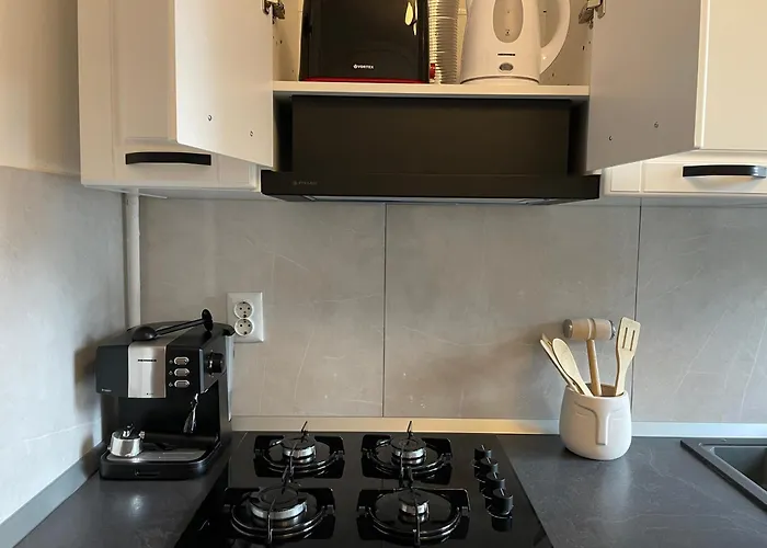 Cozy Apartment Sfanta Vineri Zalau