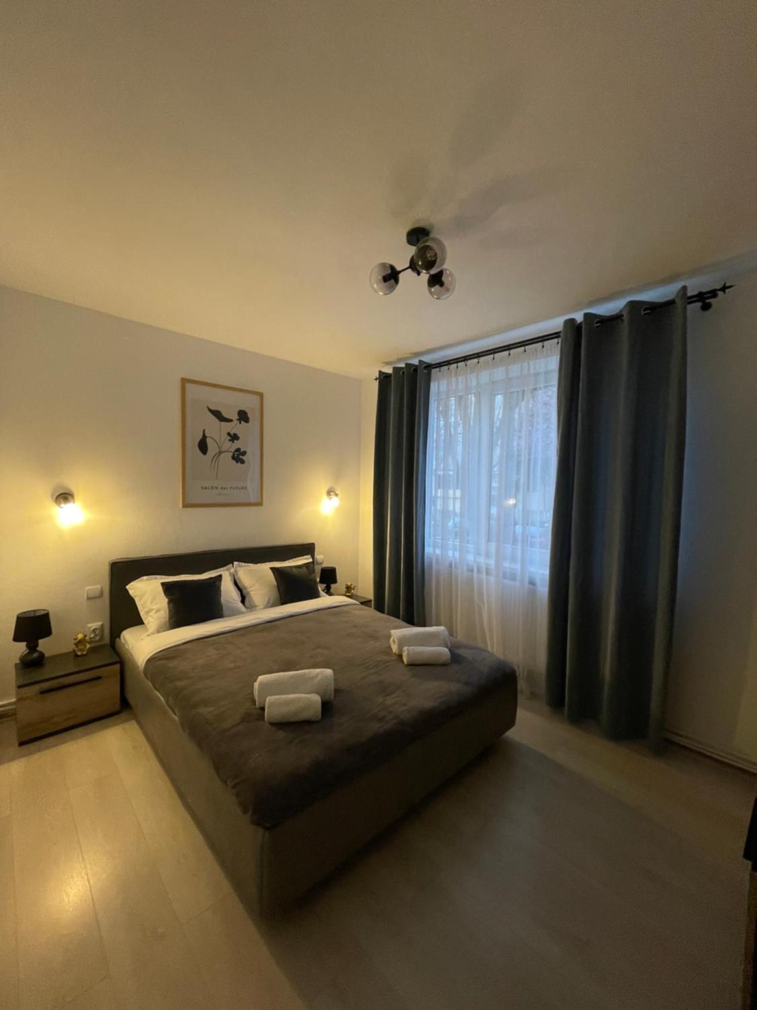 Apartment Cozy Sfanta Vineri Zalau