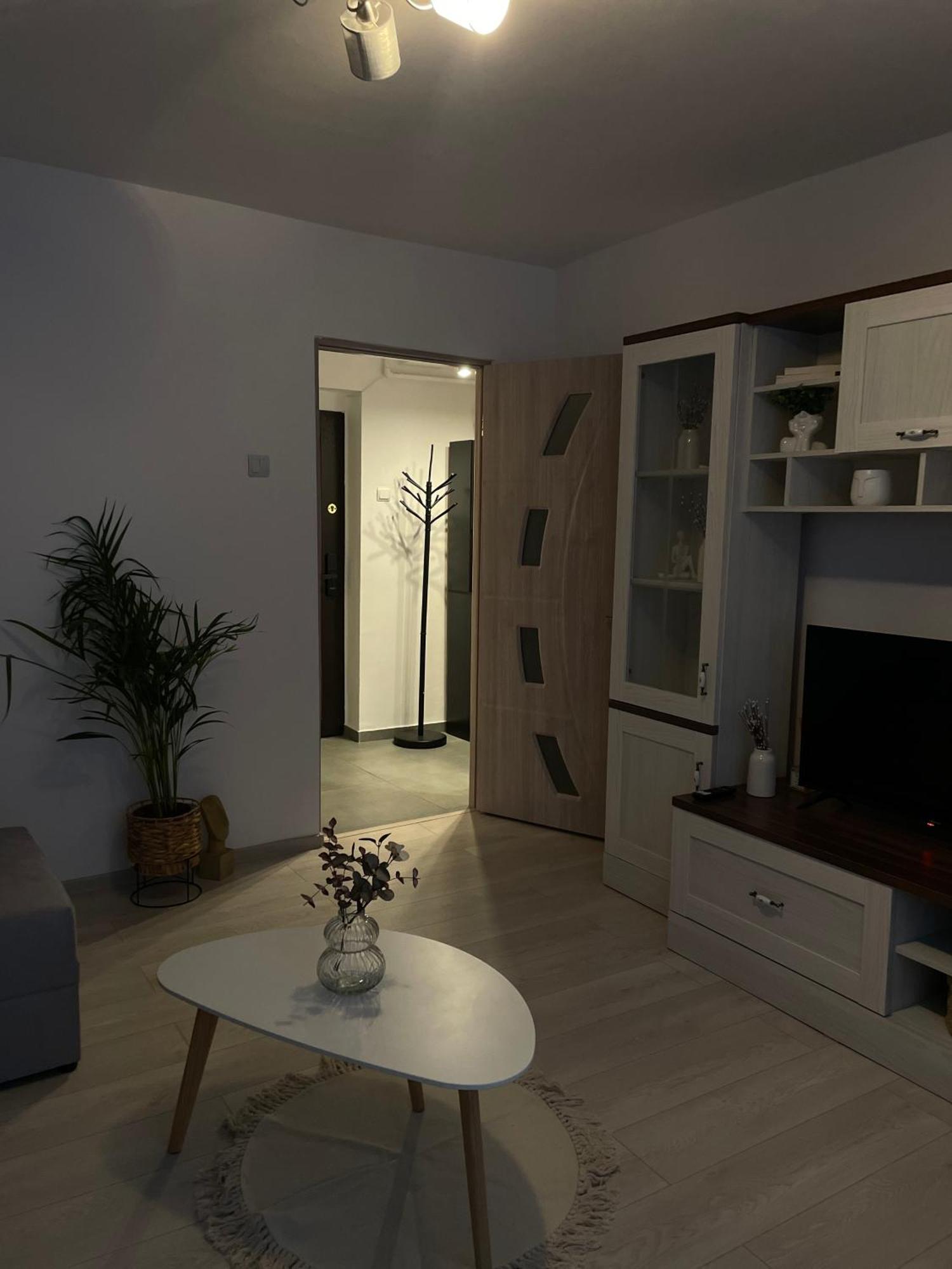 Apartment Cozy Sfanta Vineri Zalau